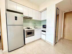 Eight Riversuites (D12), Condominium #561442241
